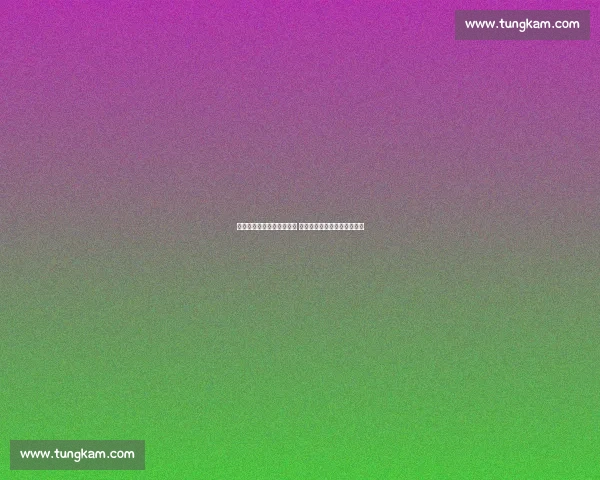 拜仁正式报价斯图加特锋霸 孔帕尼钦点未来十年锋线核心