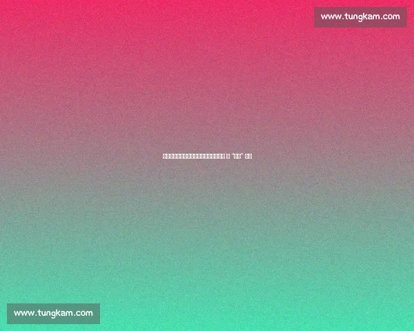 南宁棋手王子华问鼎广西业余围棋棋王赛 新 “棋王” 诞生