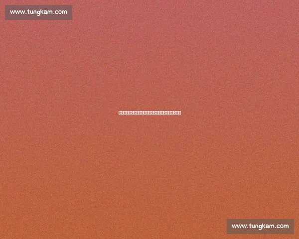 斯科拉里钦点巴西梦幻三叉戟:大罗卡卡阿德联袂即无敌 斯科拉里钦点巴西梦幻三叉戟:大罗卡卡阿德联袂即无敌