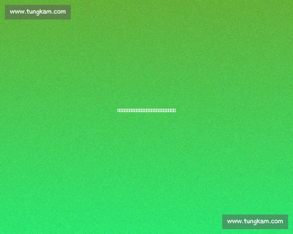 凌晨三点半的信仰：俄城球迷与雷霆队的双向奔赴传奇