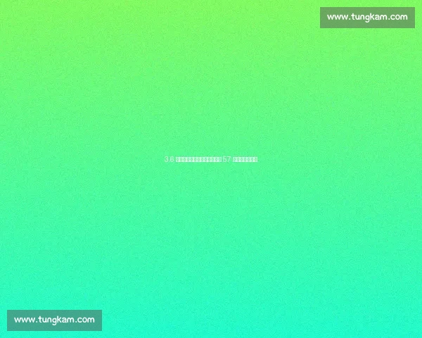 3.6 万健儿逐梦粤港澳!十五运会 57 大项创历史规模 3.6 万健儿逐梦粤港澳!十五运会 57 大项创历史规模