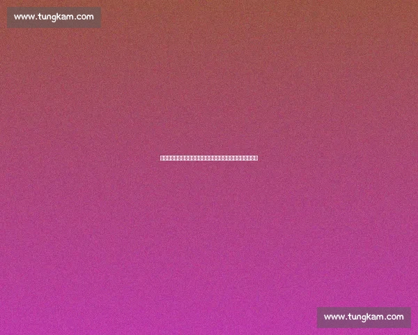 伊萨克缺席训练引连锁反应：伤病疑云与转会博弈下的纽卡困境