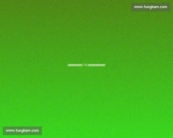 背起百岁奶奶看球赛：116 岁库尔班罕的足球圆梦之旅