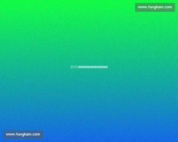 2023 最佳教练布朗试水尼克斯，纽约或迎战术革新