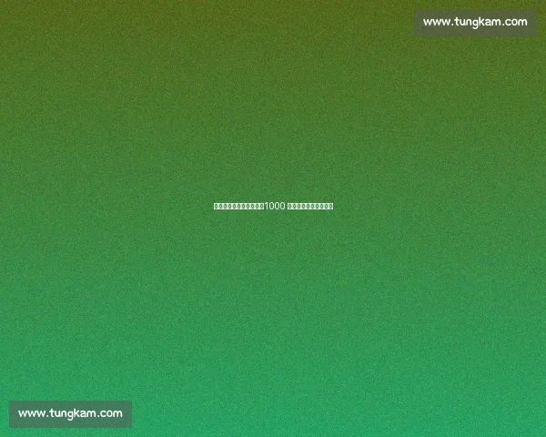 米兰启动扎卡转会谈判！1000 万欧报价试探药厂底线