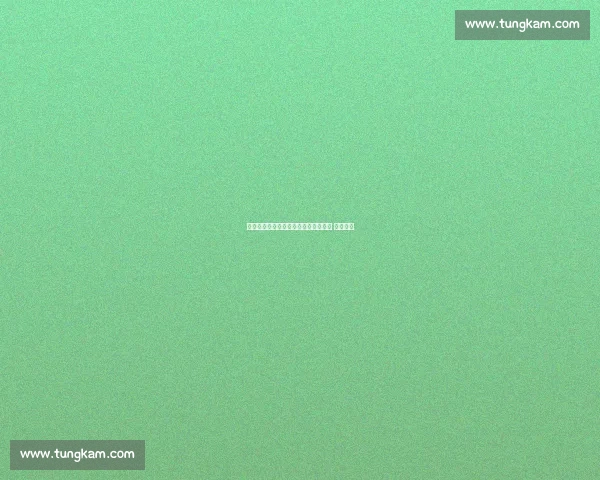 郑钦文温网换帅!纳达尔嫡系教头加盟 剑指冠军