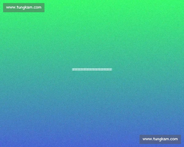 边走边扔赢金牌:中国飞盘如何用散步式战术突围国际赛场