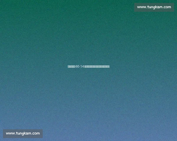 野马队主场 60-14 狂屠兔子队,沃尔什一人主导六次得分