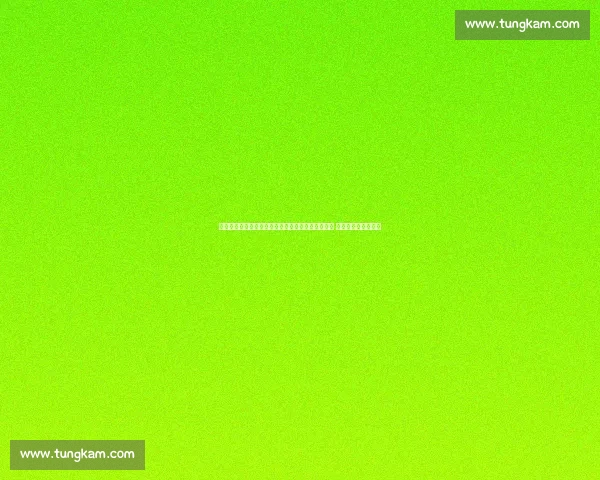 阳光少年探秘亚泰足球基地：张笑飞亲授职业训练课 沉浸式感受足球文化