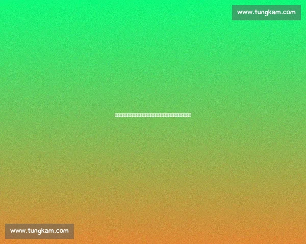 中国女排迎战日本巅峰对决全程直播看点全面解析激烈较量赛场风云 中国女排迎战日本巅峰对决全程直播看点全面解析激烈较量赛场风云