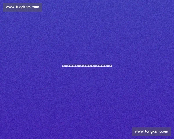 康纳对决大布的跨界巅峰之战掀起格斗史最大话题全球粉丝热议未来胜负走向