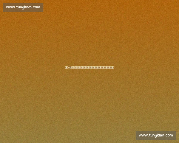 崔飞vs方便巅峰对决背后实力风格与胜负悬念全解析关键回合与赛场走势