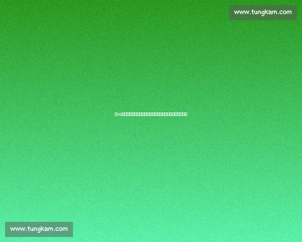 以vs咲为中心的角色对抗成长叙事与情感张力解析全景研究探讨 以vs咲为中心的角色对抗成长叙事与情感张力解析全景研究探讨